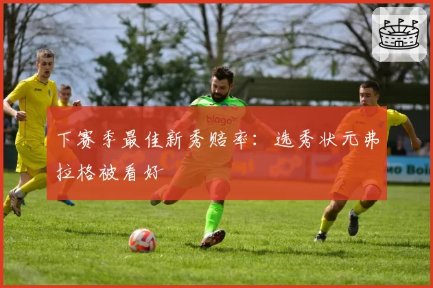 下赛季最佳新秀赔率:选秀状元弗拉格被看好