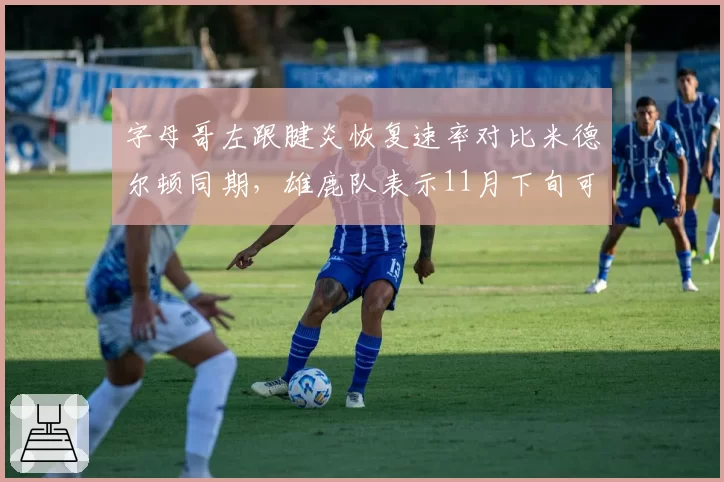 字母哥左跟腱炎恢复速率对比米德尔顿同期,雄鹿队表示11月下旬可重返训练