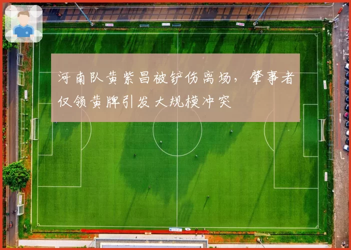 河南队黄紫昌被铲伤离场,肇事者仅领黄牌引发大规模冲突